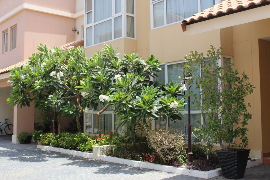 Barsha Gardens By J5 Holiday Homes Dubai Exterior foto